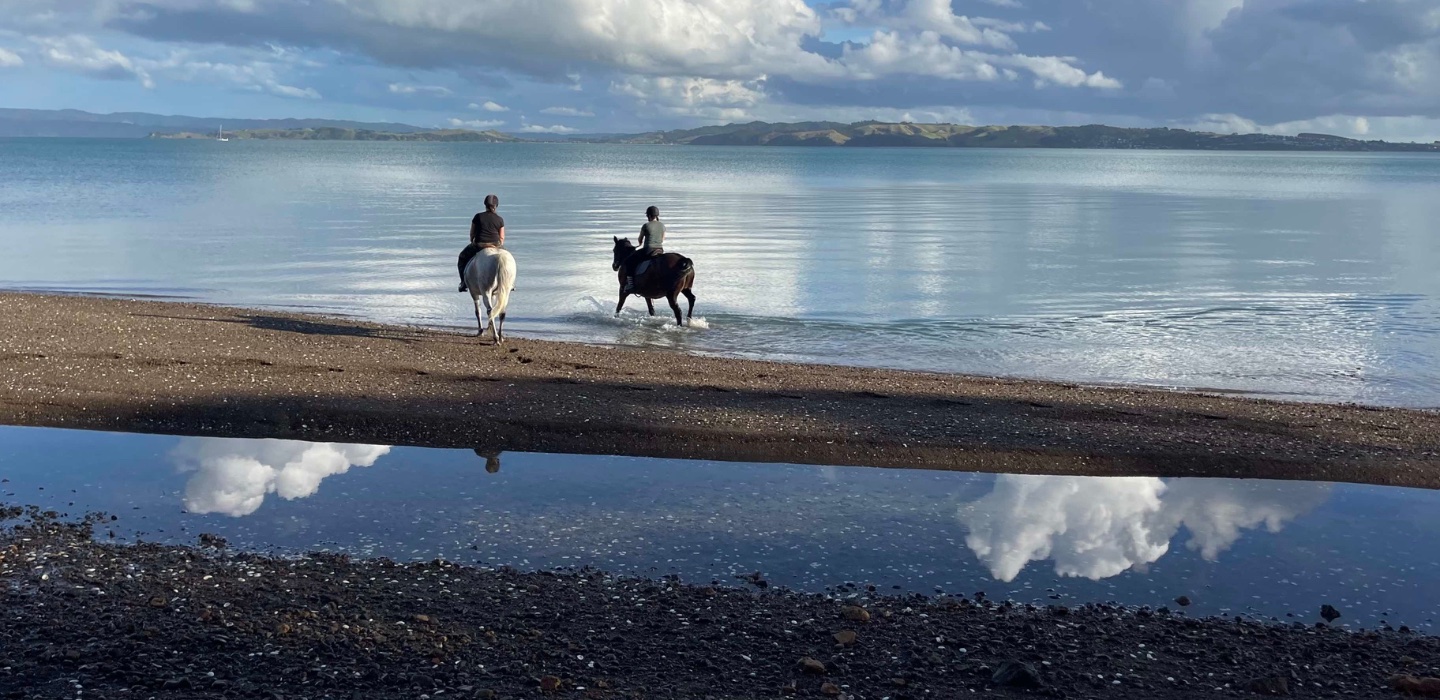 The Best Horse Riding Near Auckland.